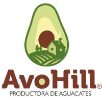 avohill logo